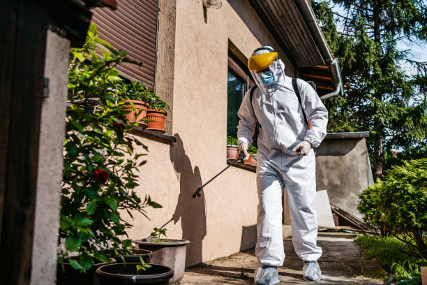 Best Pest Prevention Services  in Columbus Junction, IA